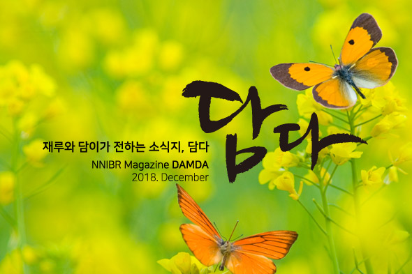 담다 뉴스레터 소식지