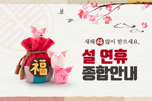 2019 설연휴 종합안내