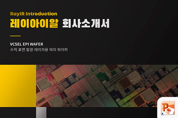 레이아이알 회사소개서