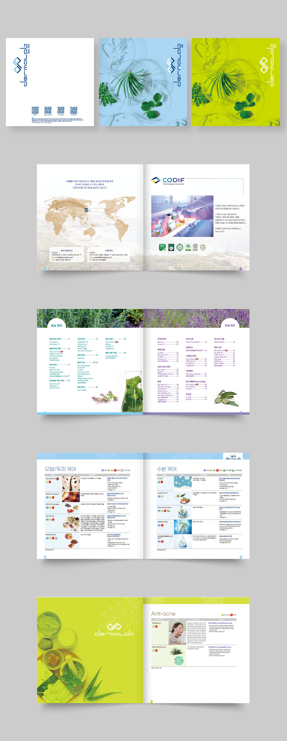 2024 더마랩(국문/영문) 상세 디자인