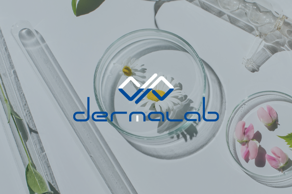 ������ ������Ʈ